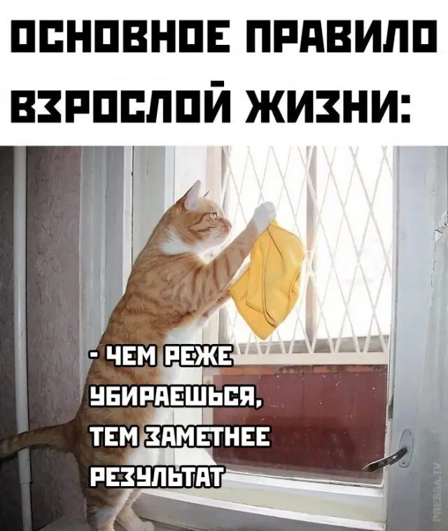 Дичкин воскресенск