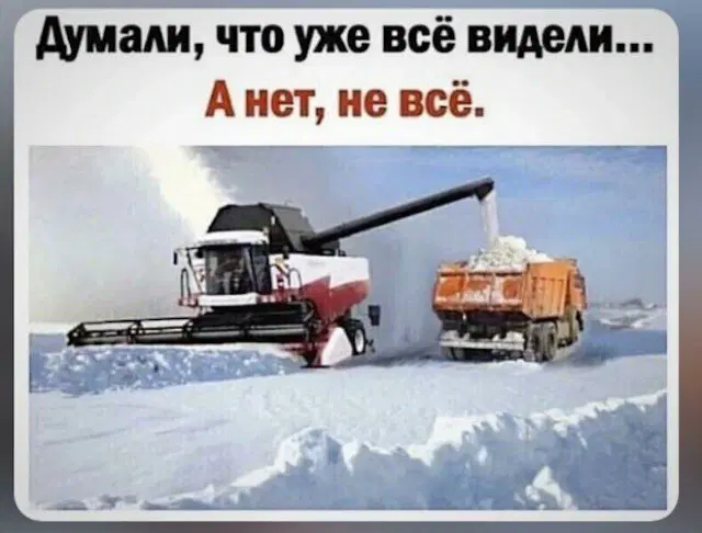 Дичкин воскресенск