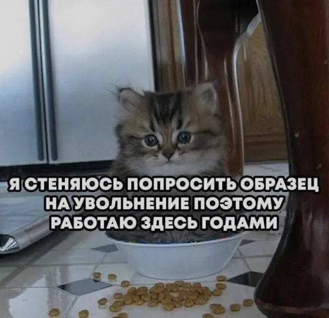 Дичка из погребов На Трезвую голову