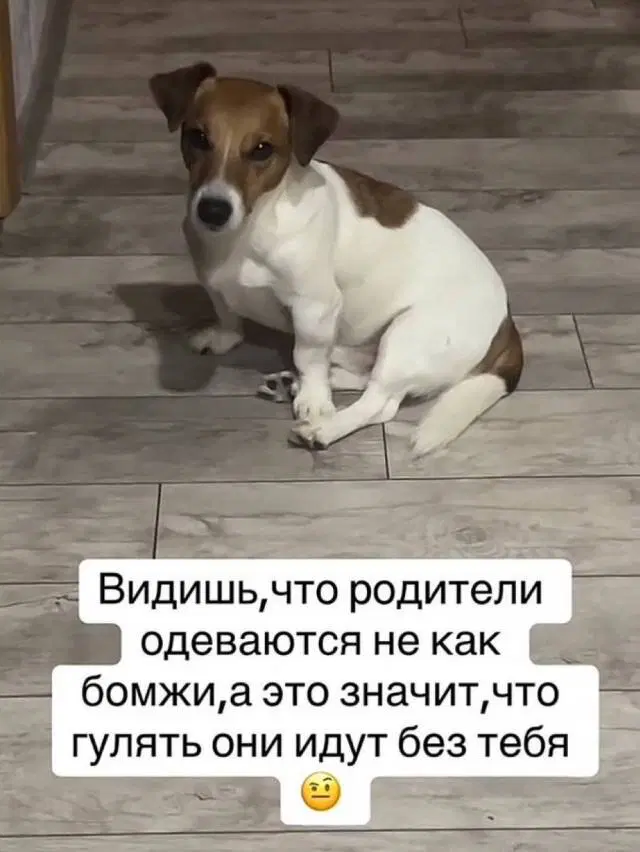 Дичка из погребов На Трезвую голову