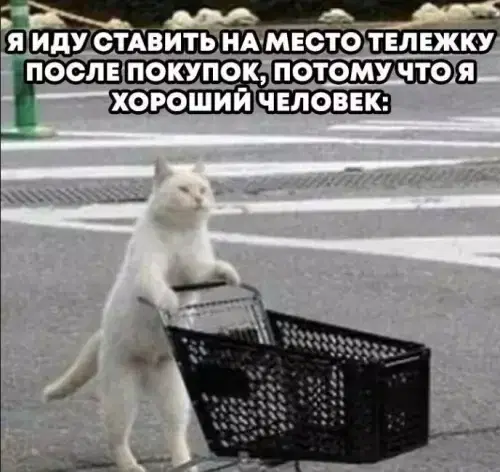 Дичка из погребов На Трезвую голову