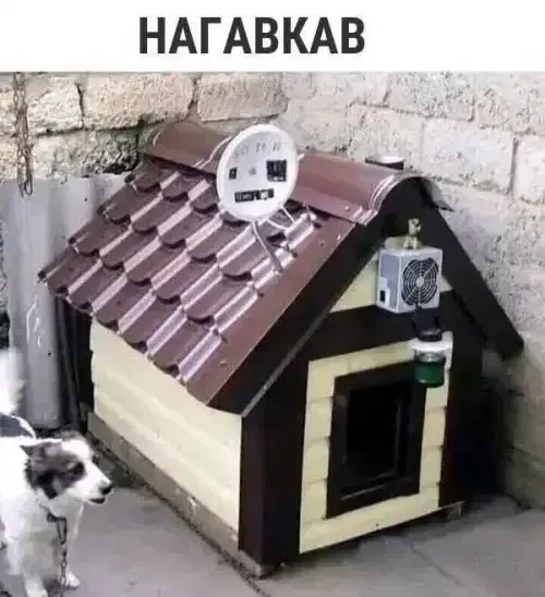 Дичка из погребов На Трезвую голову