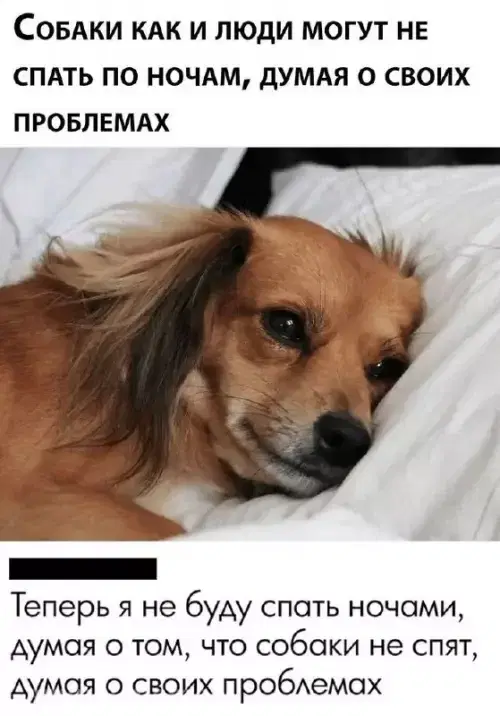 Дичка из погребов На Трезвую голову