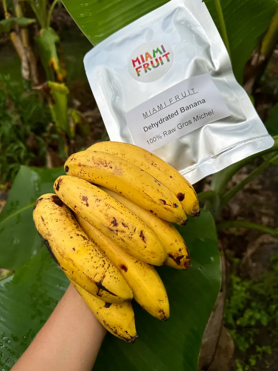 Краткий курс истории ВКП(бананов)