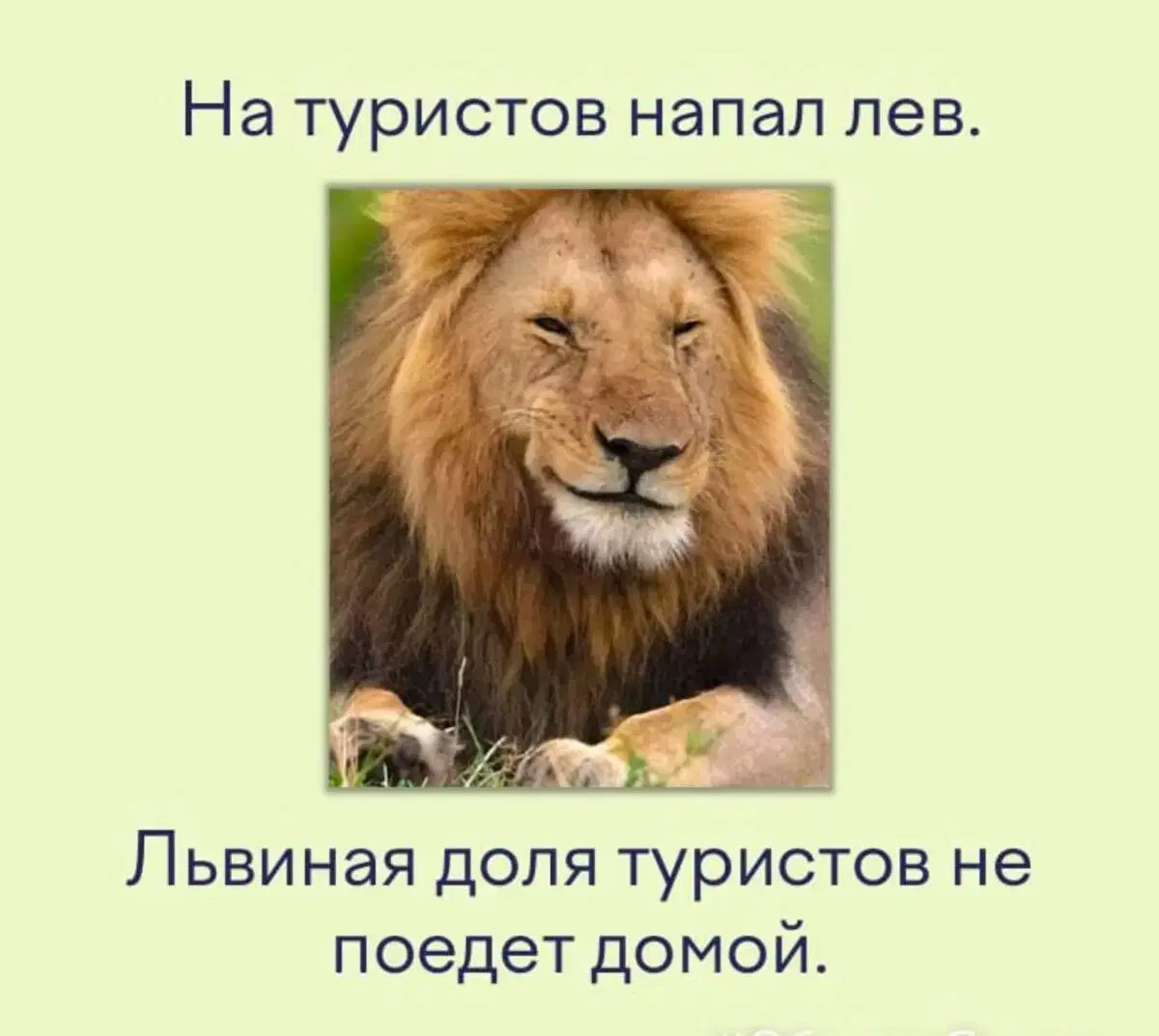 Ивент Вомбата. Слово недели - Эритроциты.