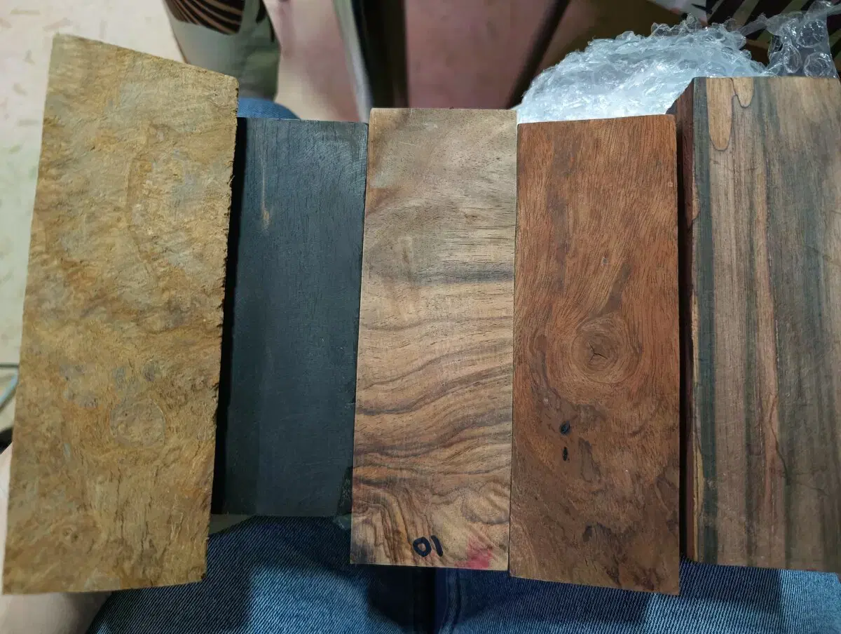 Ивент Вомбата. Слово недели - Эритроциты.