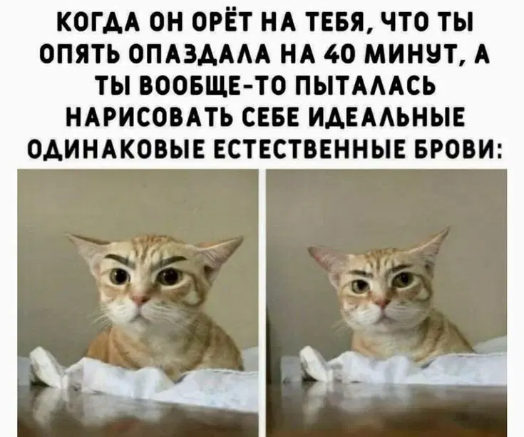 Вот и пролетел понедельник