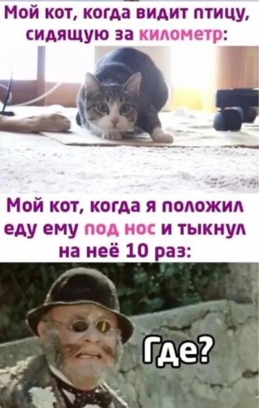 Вот и пролетел понедельник