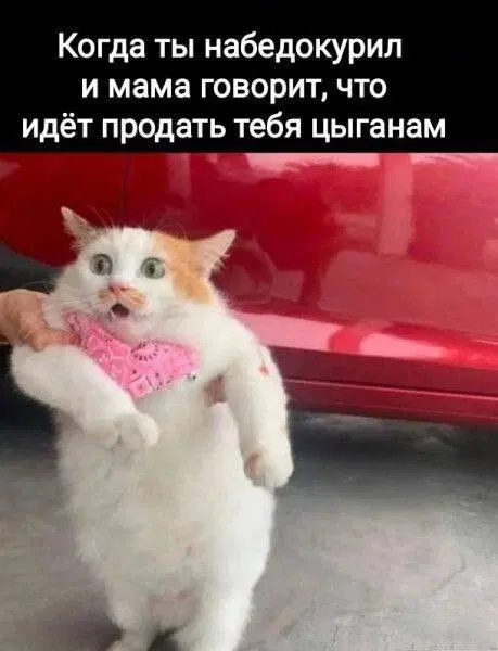 Вот и пролетел понедельник