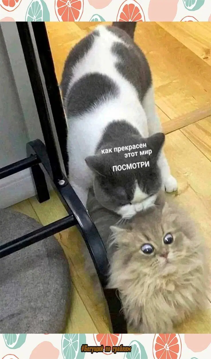 Вот и пролетел понедельник