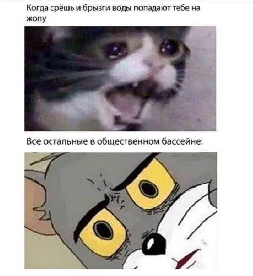 Вот и пролетел понедельник