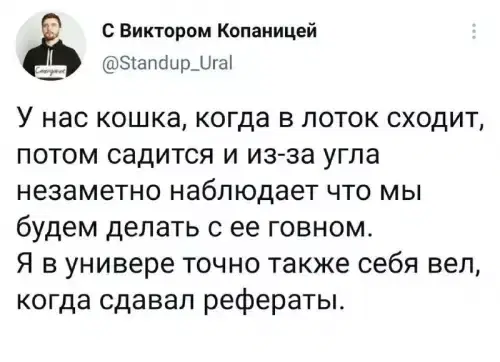 Дисковые лучики добра