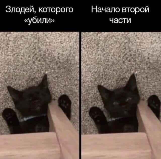 Дисковые лучики добра