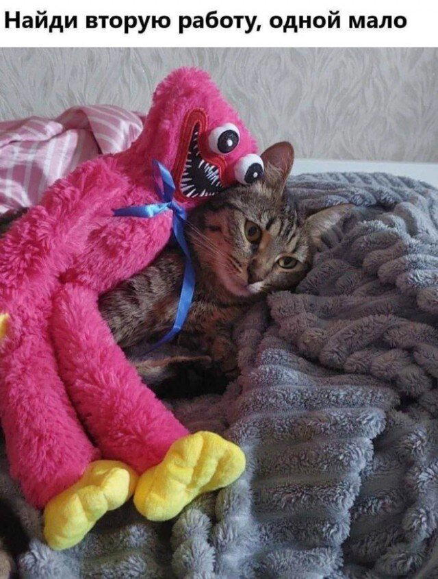 Дисковые лучики добра