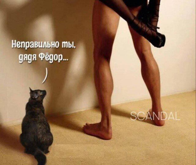 Дисковые лучики добра