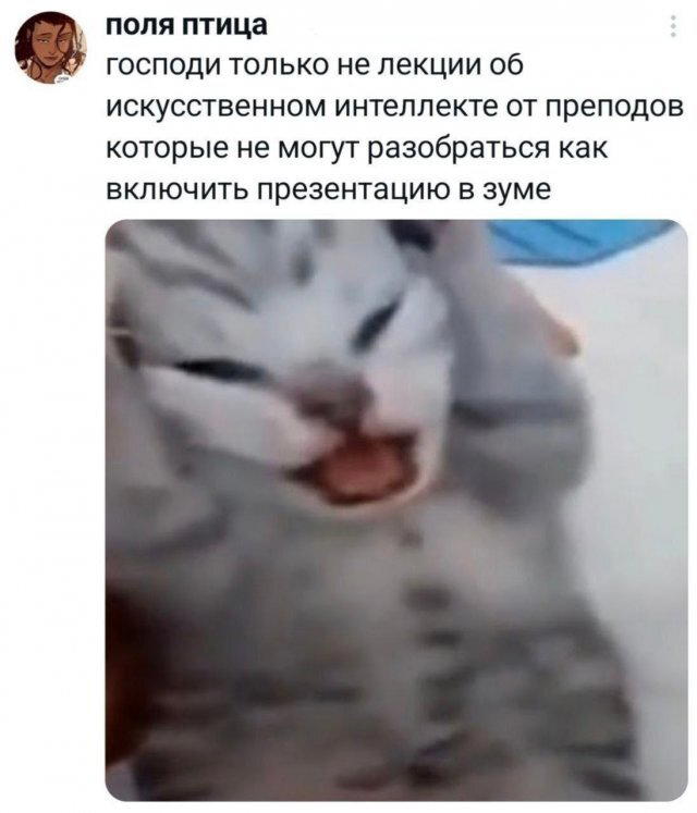 Дисковые лучики добра