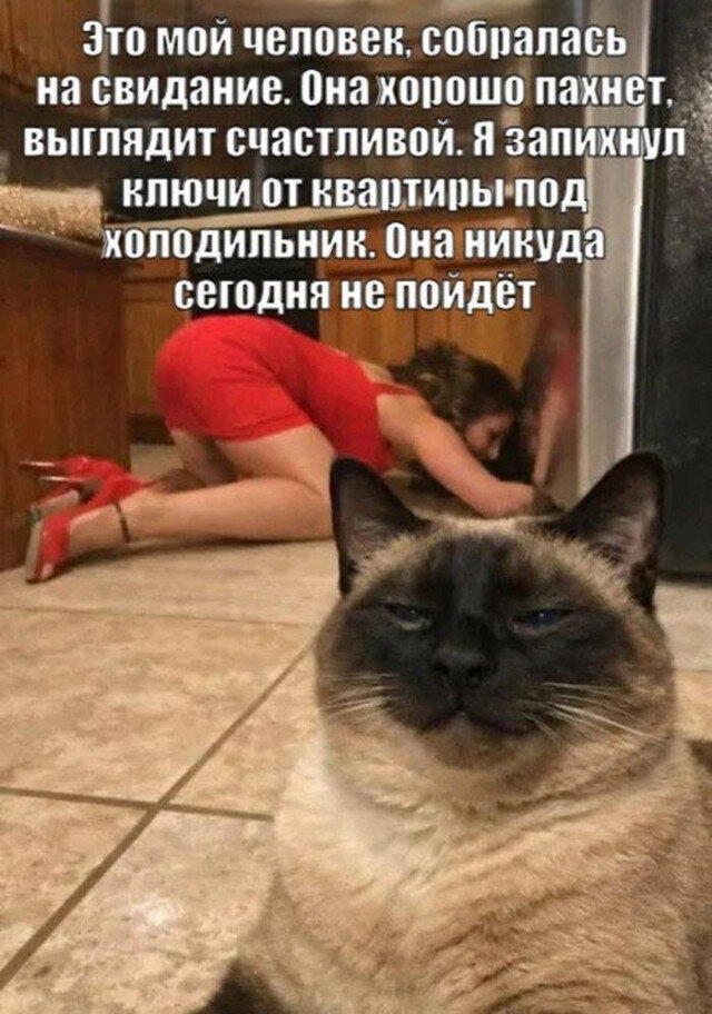 Дисковые лучики добра