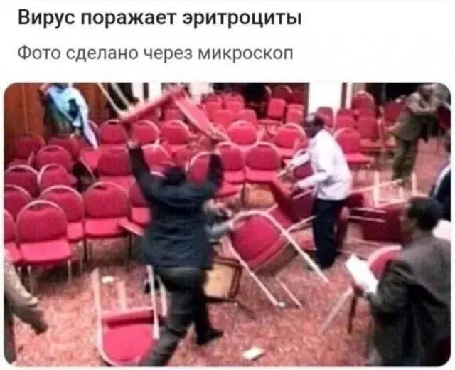 Ивент + Дичка = дичтроциты