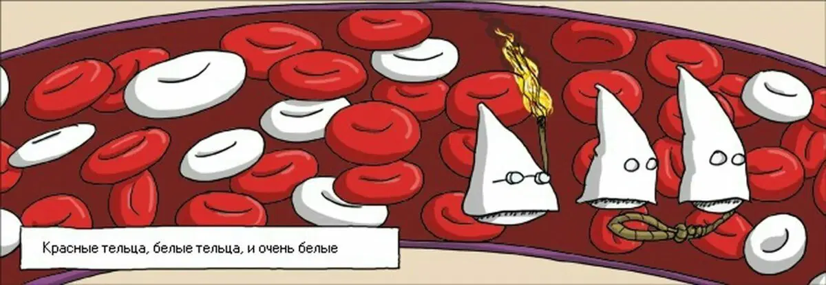 Ивент + Дичка = дичтроциты