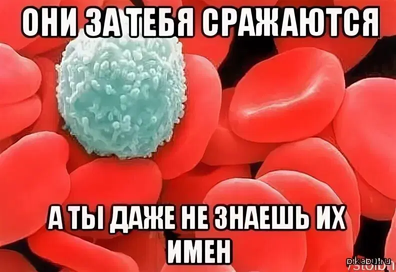 Ивент + Дичка = дичтроциты