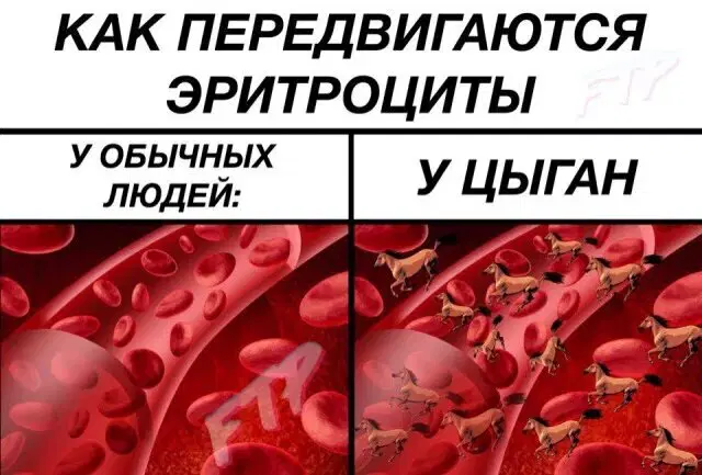 Ивент + Дичка = дичтроциты