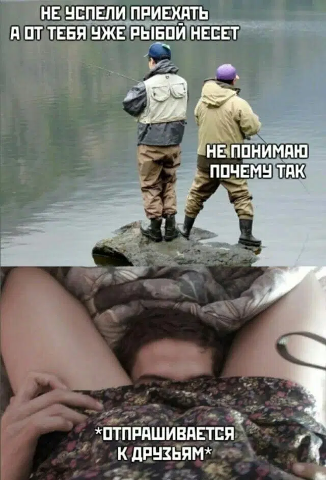 Дичь вторника На дичке среды