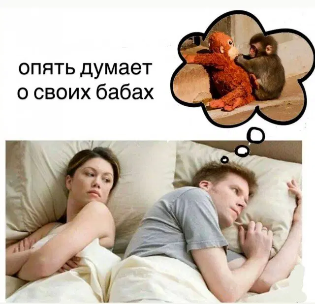 Дичь вторника На дичке среды