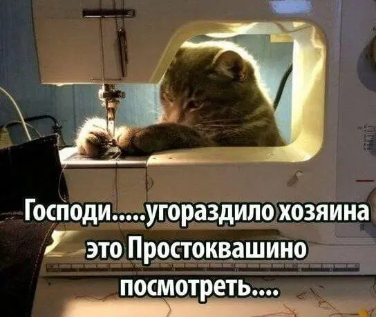 Дичь вторника На дичке среды