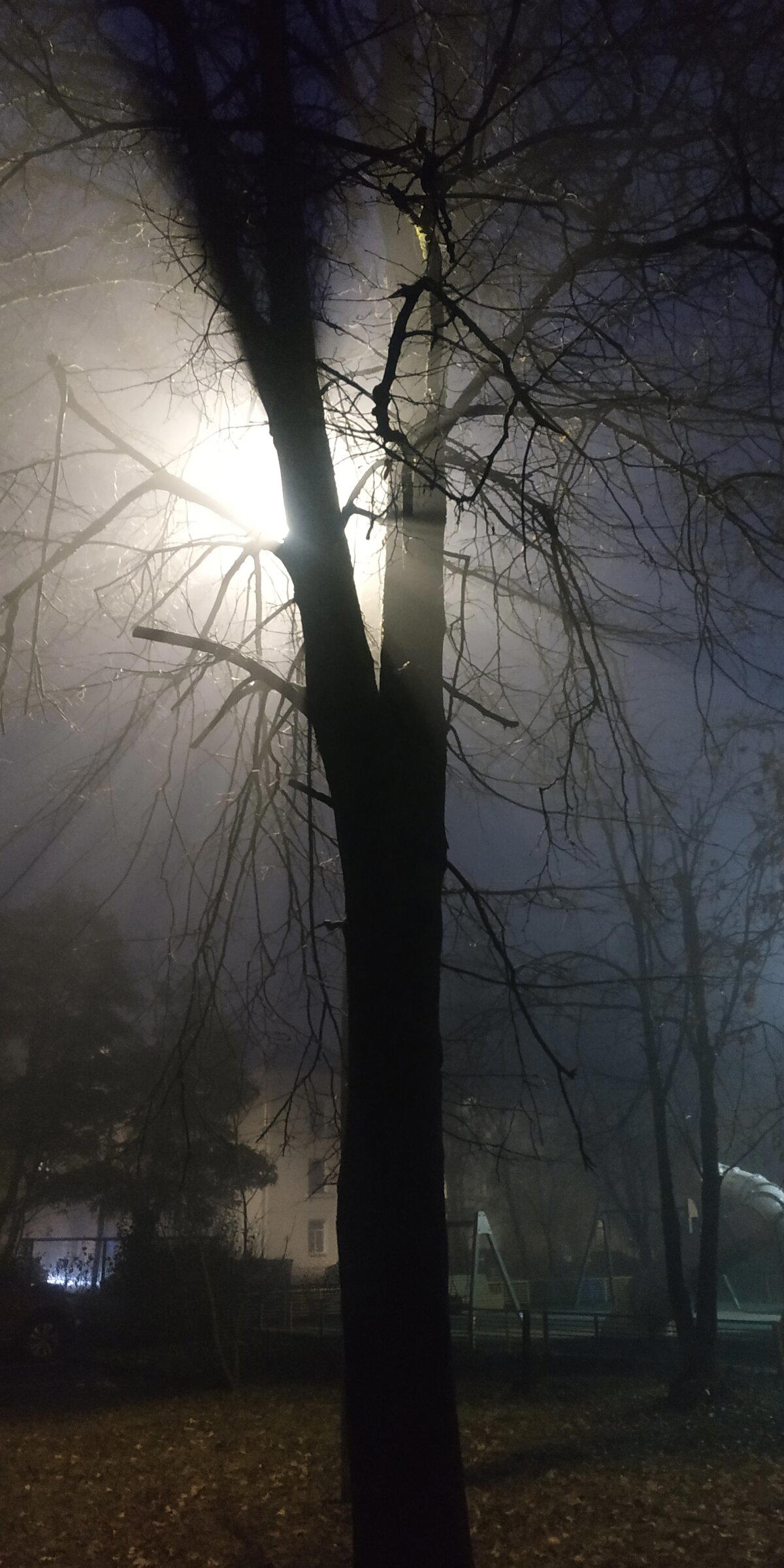 Ответ на пост «Какая красота, вид из окна»