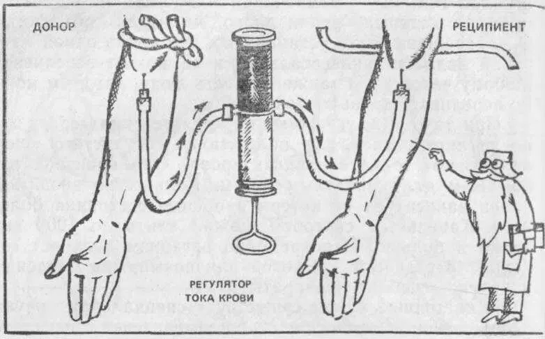 Карл Ландштейнер и эритроцит