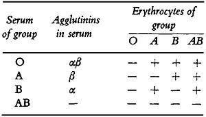 Карл Ландштейнер и эритроцит