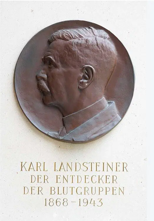Карл Ландштейнер и эритроцит