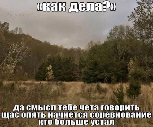 Четверговая дичка, ммм а запах