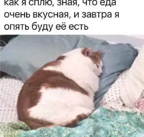 Четверговая дичка, ммм а запах