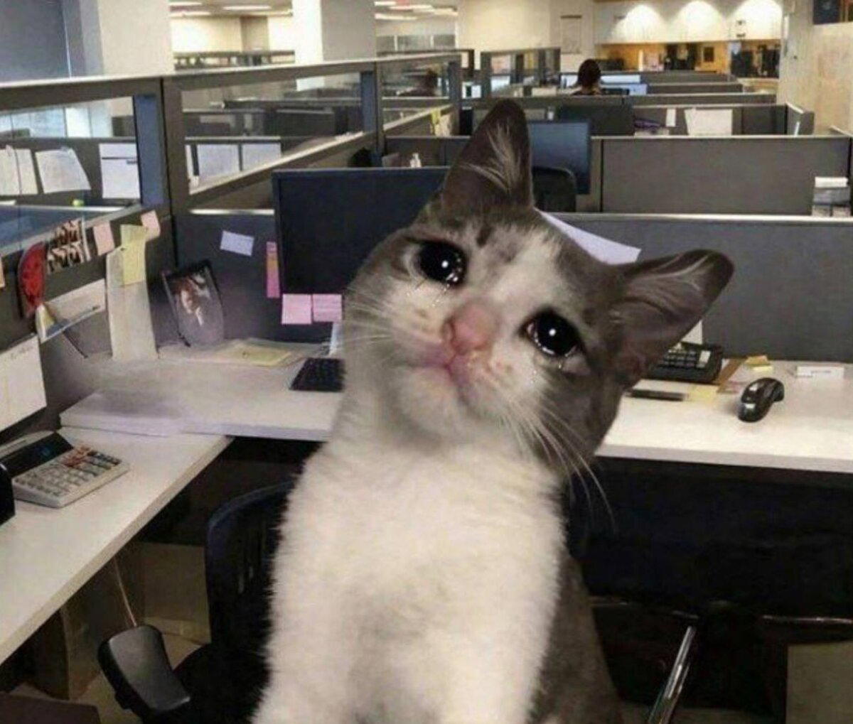 Когда глаза блестят от работы... Терпи мою друг терпи 