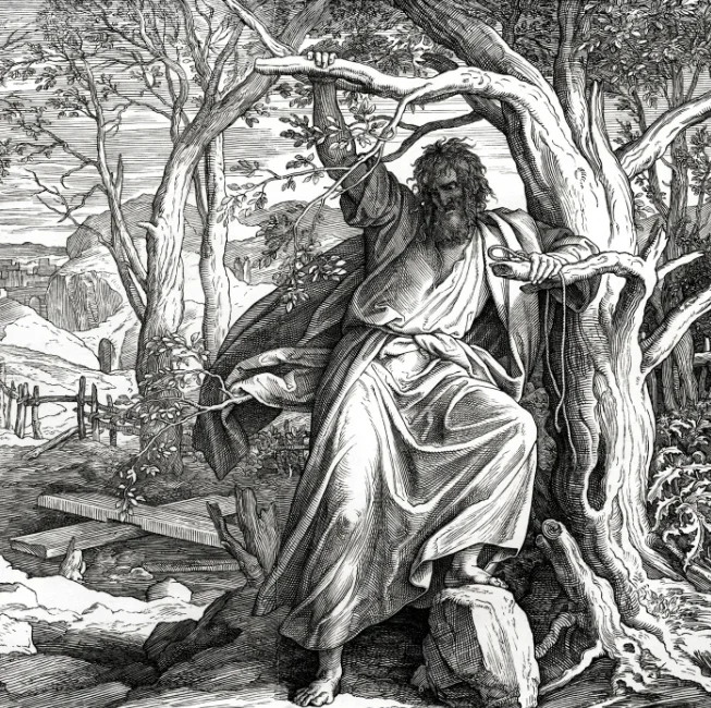 Осины помнят про его правдивый дар, так был получен первый журналистский гонорар (C) Александр Непомнящий