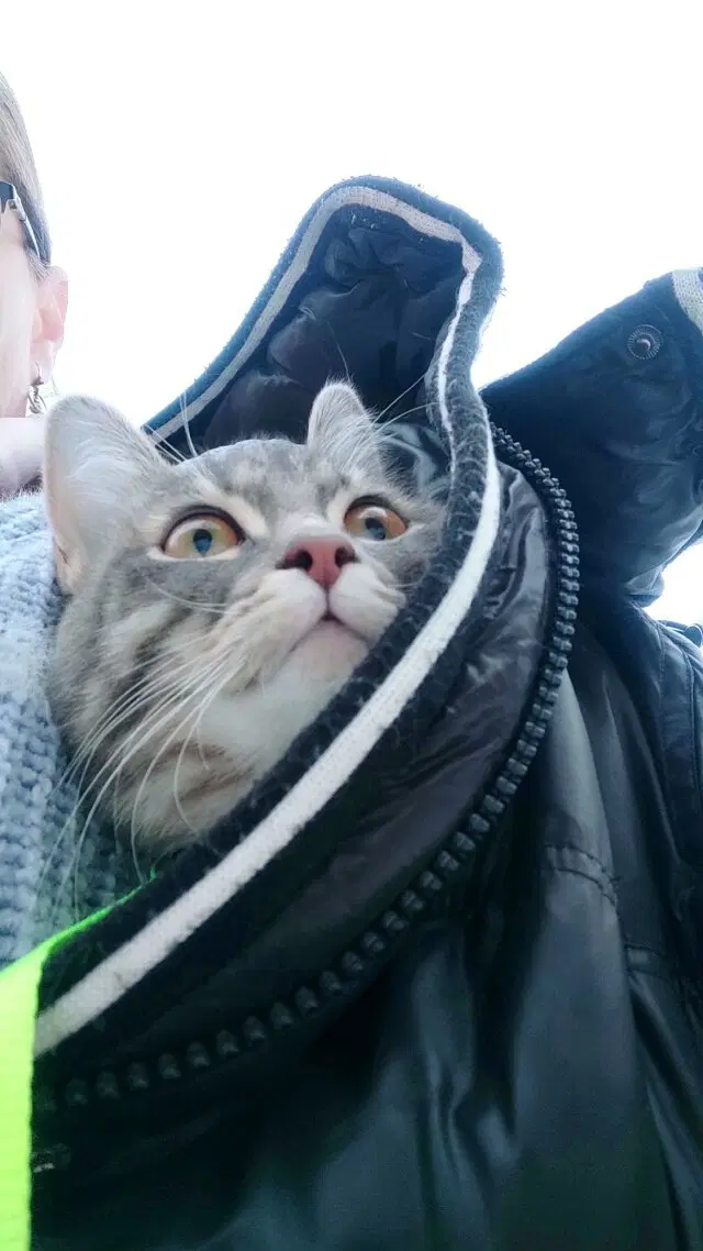 На прогулке