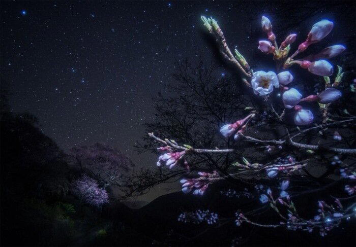 Автор снимка: Масахиро Миясака / © ameblo.jp