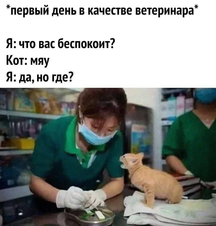 Дички для улыбашек