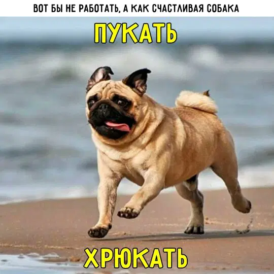 Дички для улыбашек