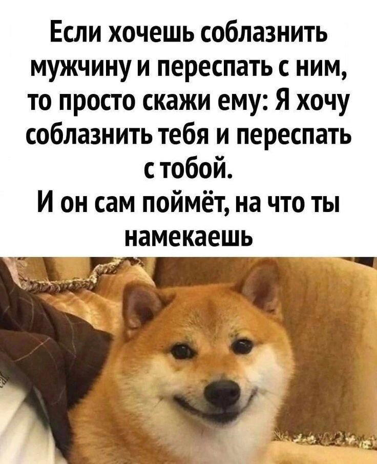 Просто картинки