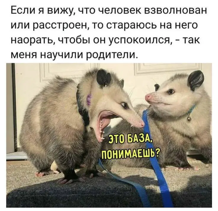 Просто картинки