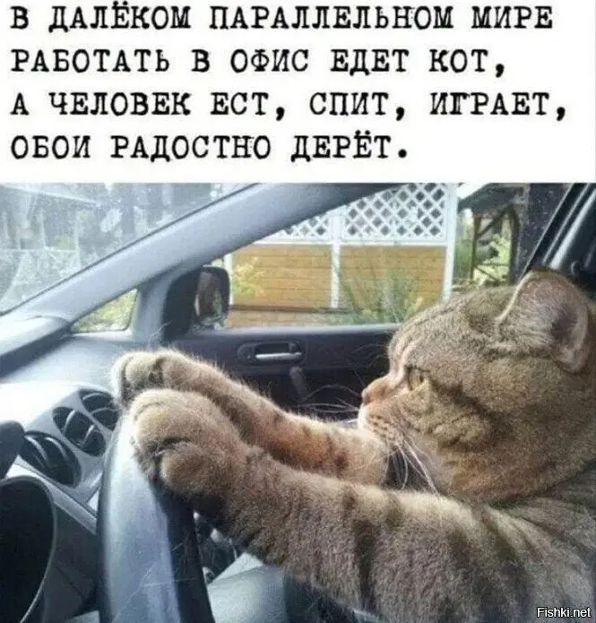 Просто картинки