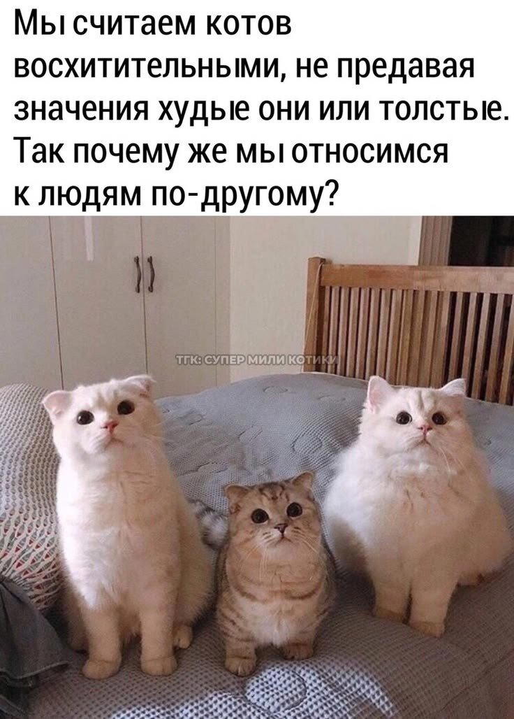 Просто картинки