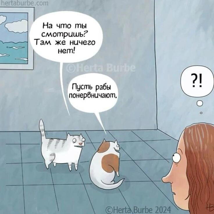 Просто картинки