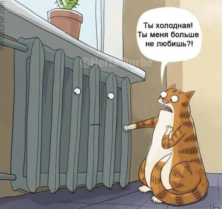 Просто картинки