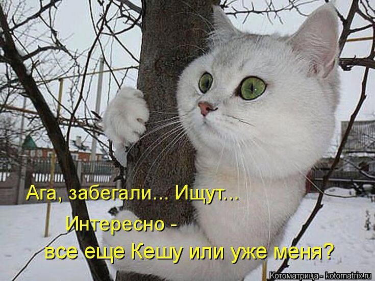 Просто картинки