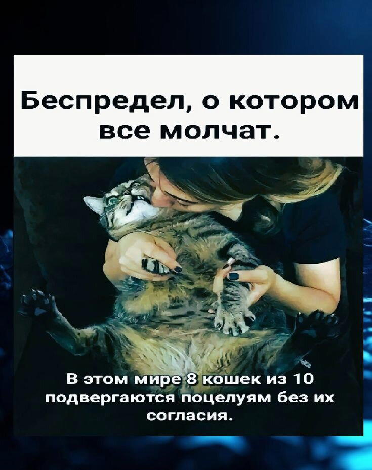 Просто картинки