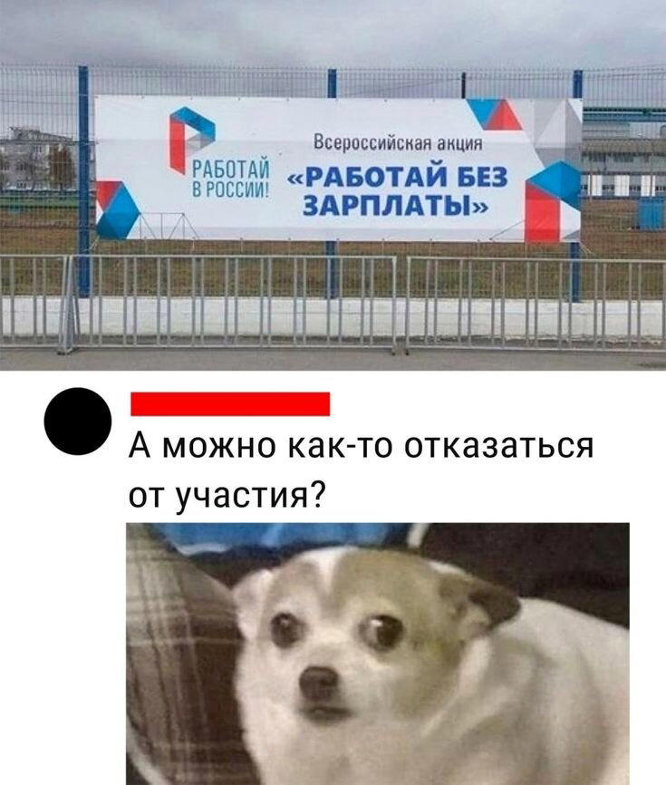 Просто картинки