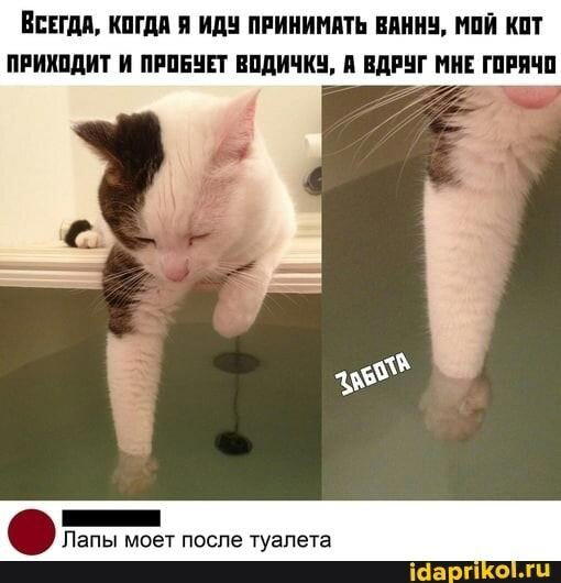 Просто картинки